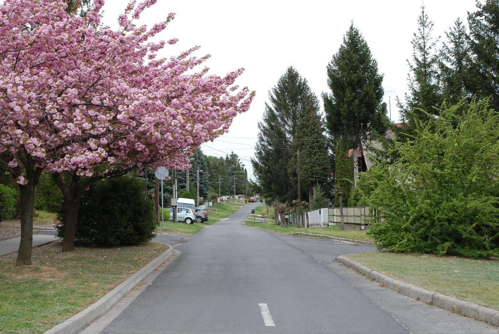 Antal Apartmanok Zalakaros Exterior foto